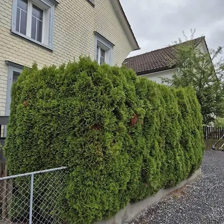 Ferienapartment Rietbach Apartment *
